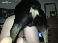 Free zoophilia dog bangs a babe